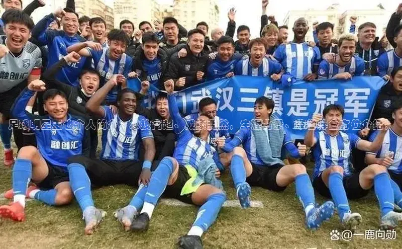 k1体育app下载百度人工翻译足球明星王也个人简介：球技高超、成绩斐然，生涯背景、荣誉等全方位介绍！
