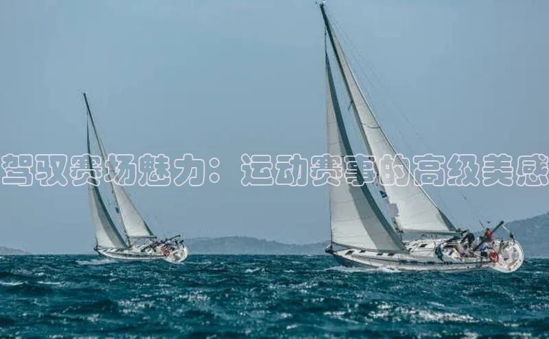 驾驭赛场魅力：运动赛事的高级美感