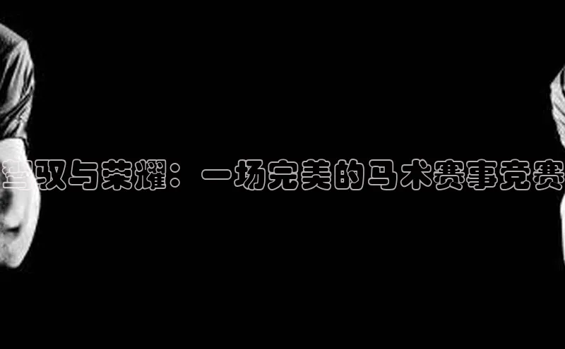 驾驭与荣耀：一场完美的马术赛事竞赛