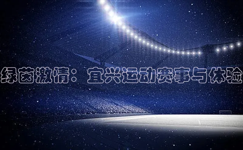 绿茵激情：宜兴运动赛事与体验