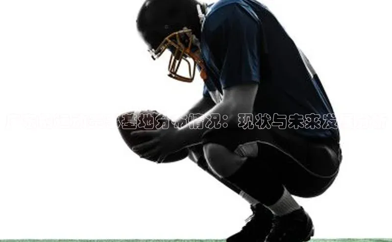 广东的运动赛事基地分布情况：现状与未来发展分析